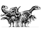 groep dinosaurussen -  skeletten