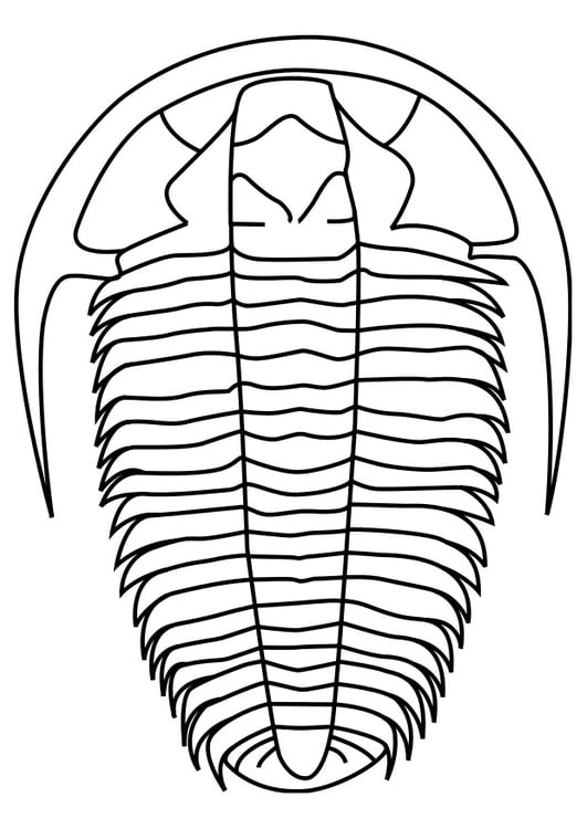 Kleurplaat trilobiet