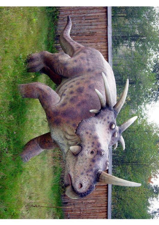 Styracosaurus replica