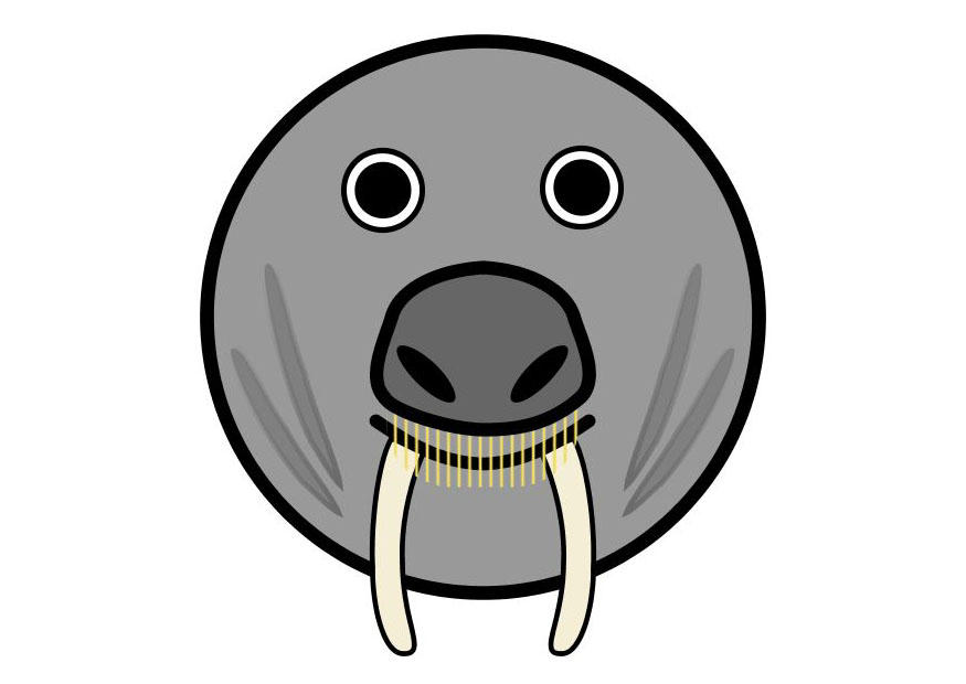 Afbeelding r1 - walrus