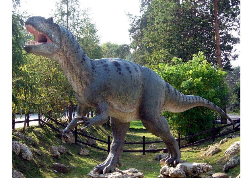 Foto allosaurus  replica