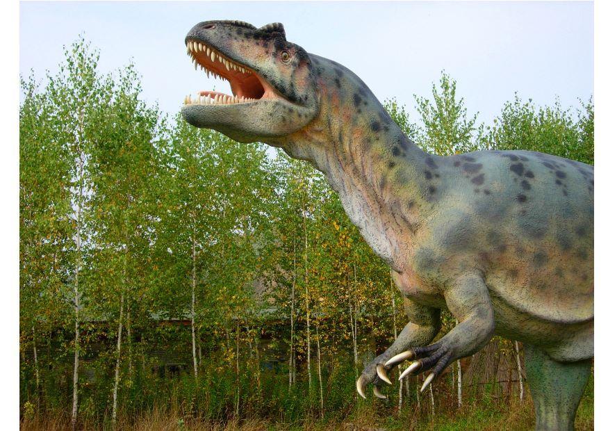 Foto allosaurus replica