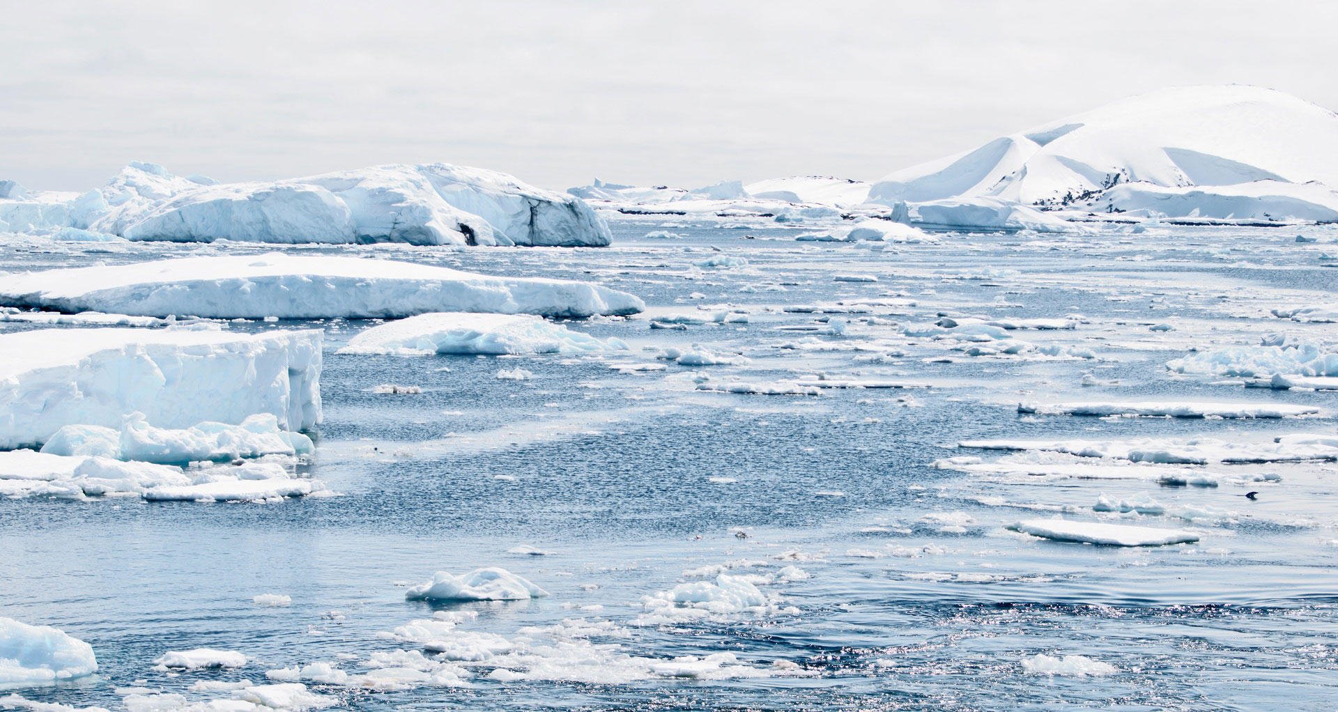 Foto antarctica