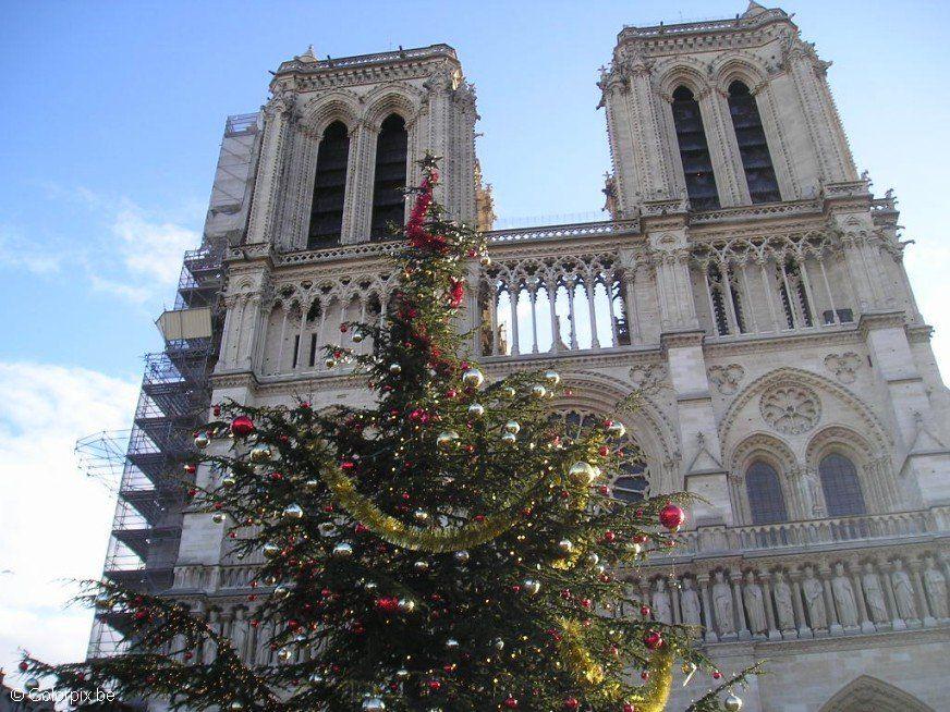 Foto notre dame kerstdagen parijs