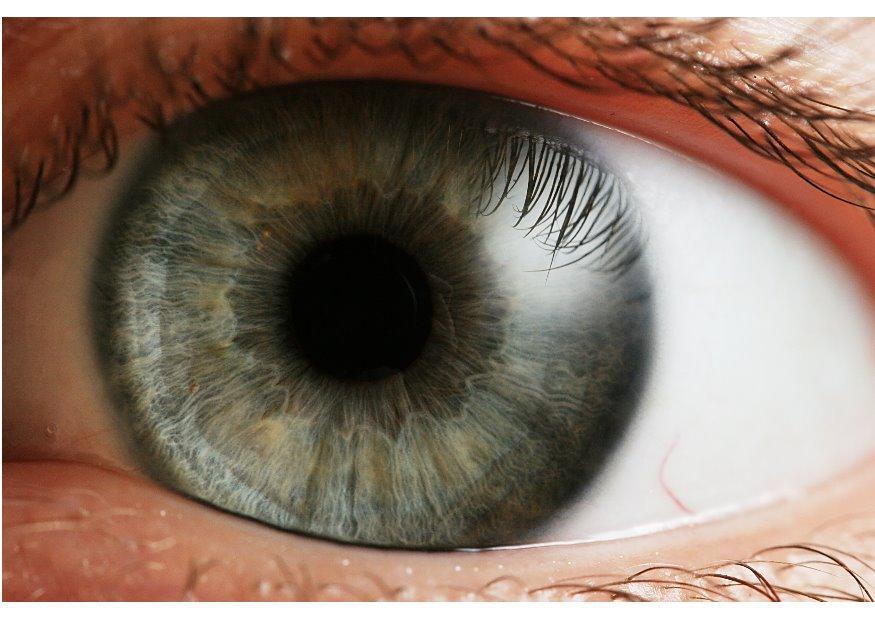 Foto oog - iris