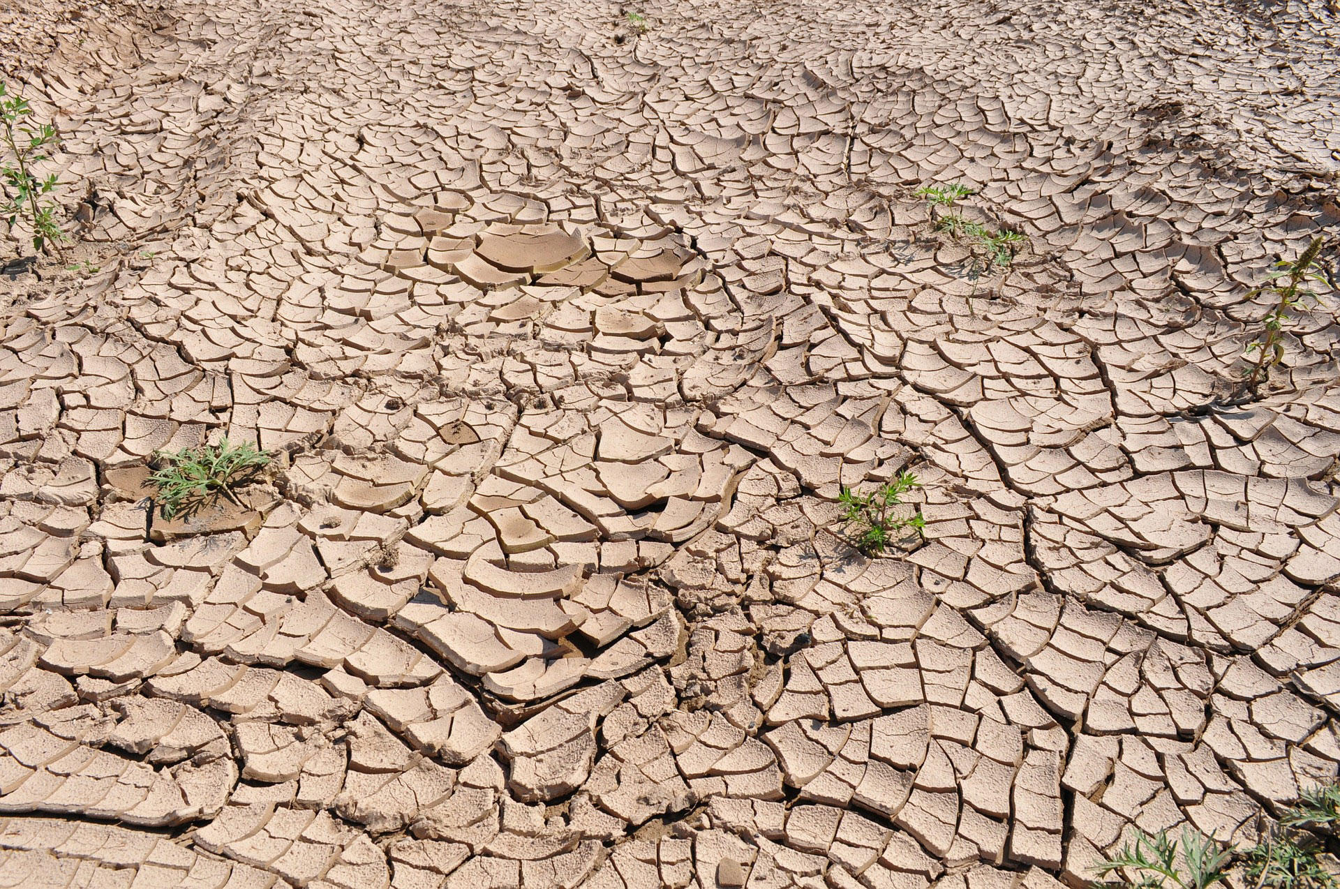 Foto opwarming van de aarde