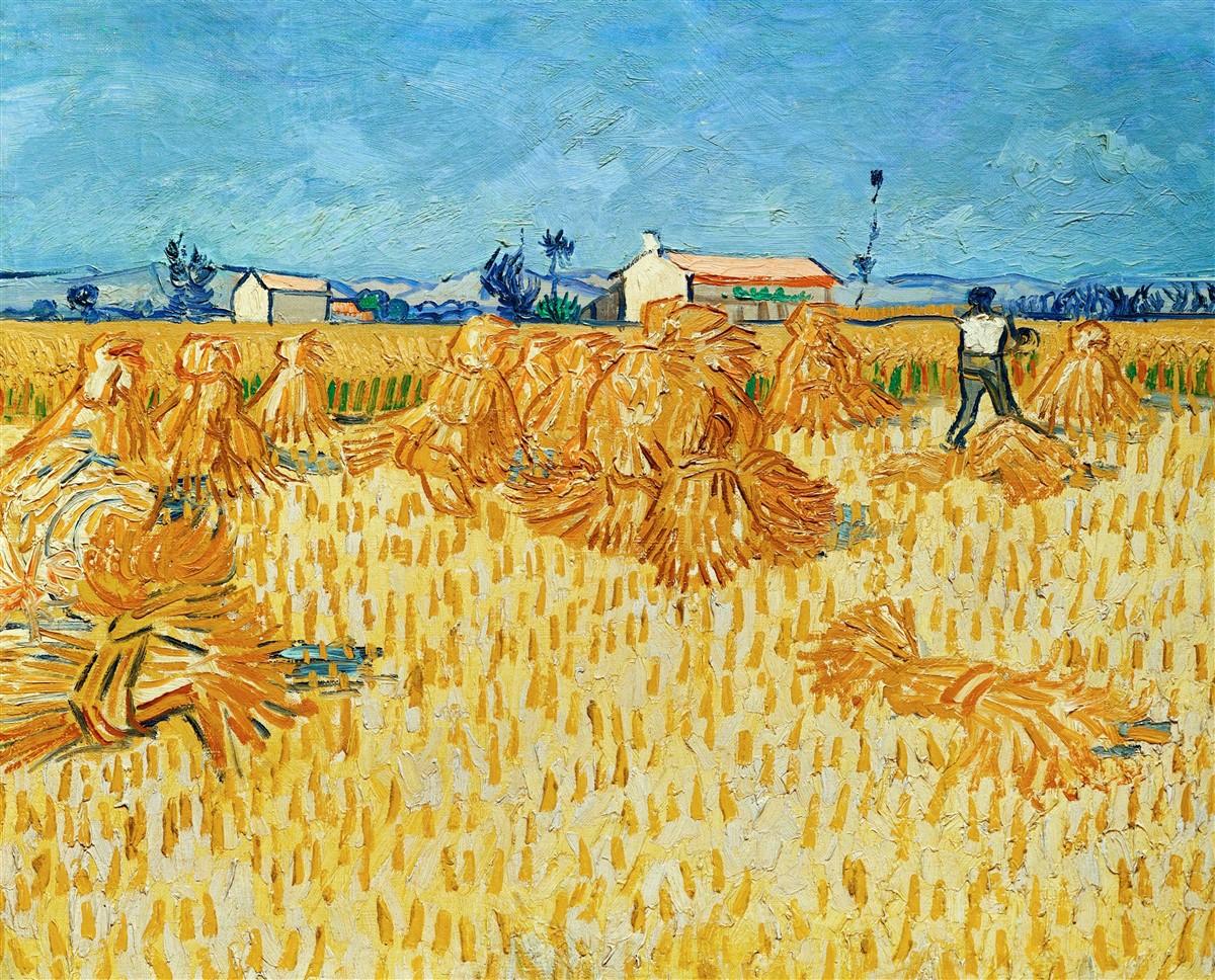 Foto schilderij van vincent van gogh