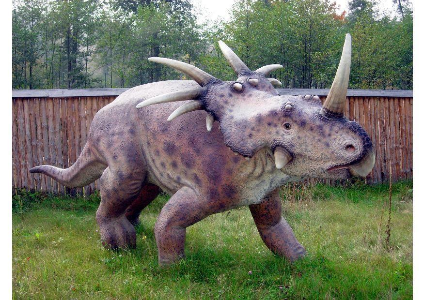 Foto styracosaurus replica