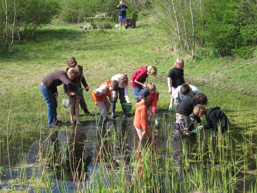 Foto zoeken in waterplas